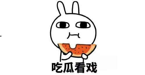 离谱副业娱乐吃瓜酱,娱乐吃瓜酱带你领略副业界的趣味与疯狂